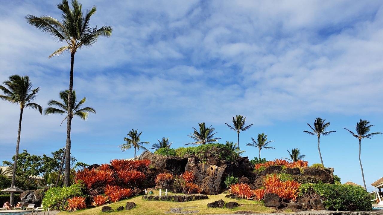Photo of Others in Hanamaulu