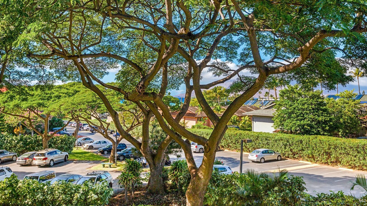 Photo of Others in Wailea