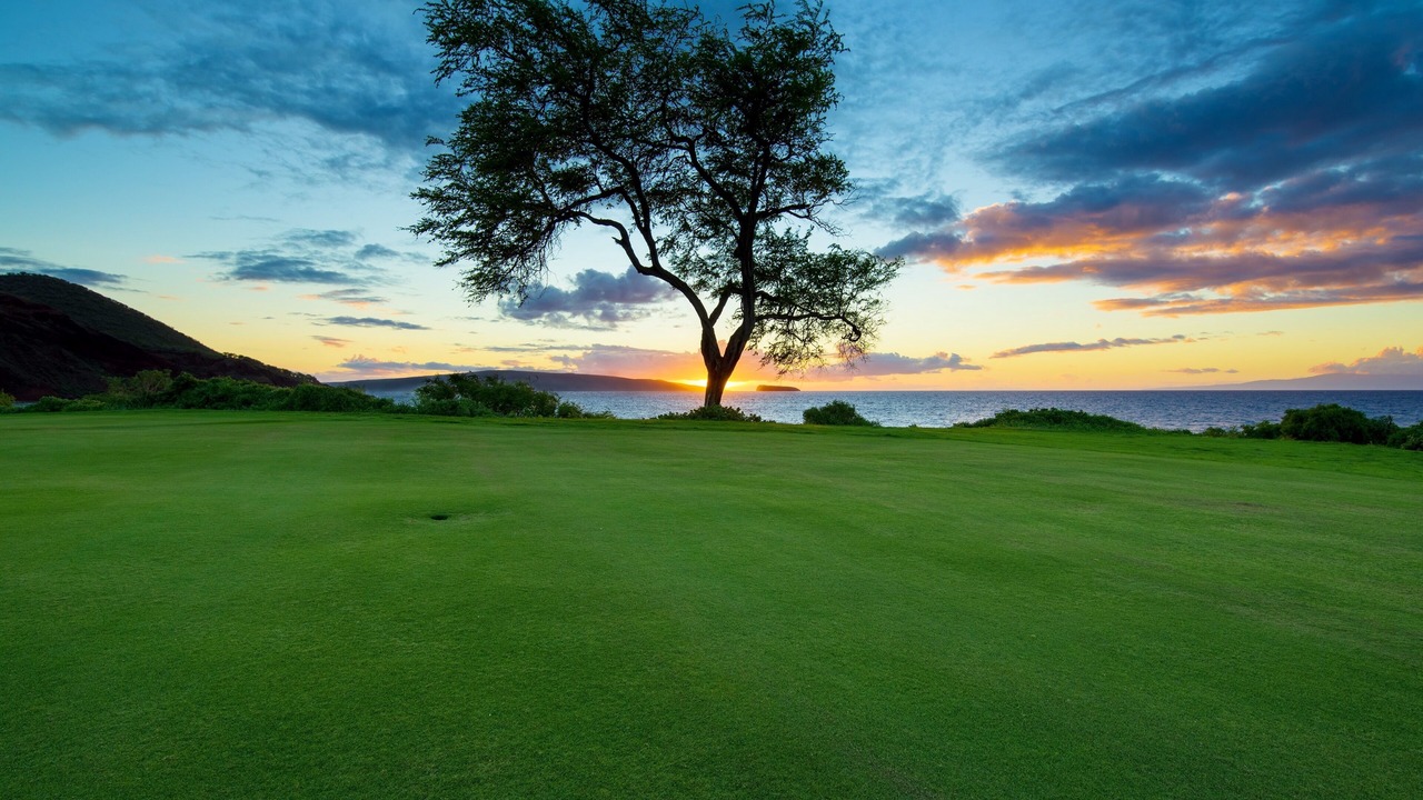 Photo of Others in Wailea