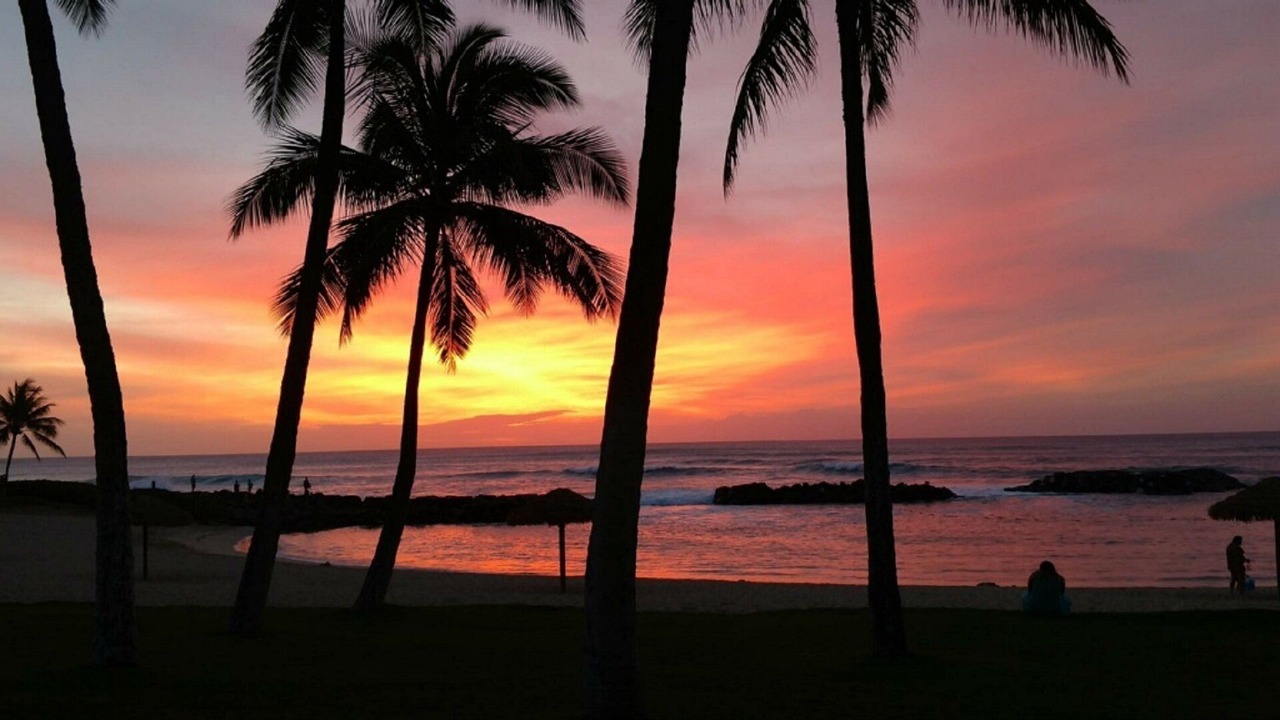 Photo of Others in Ko Olina