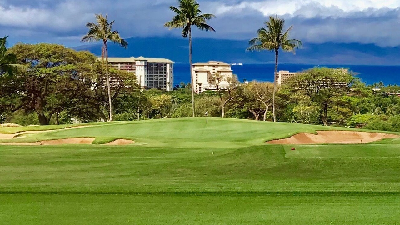 Photo of Others in Kahana