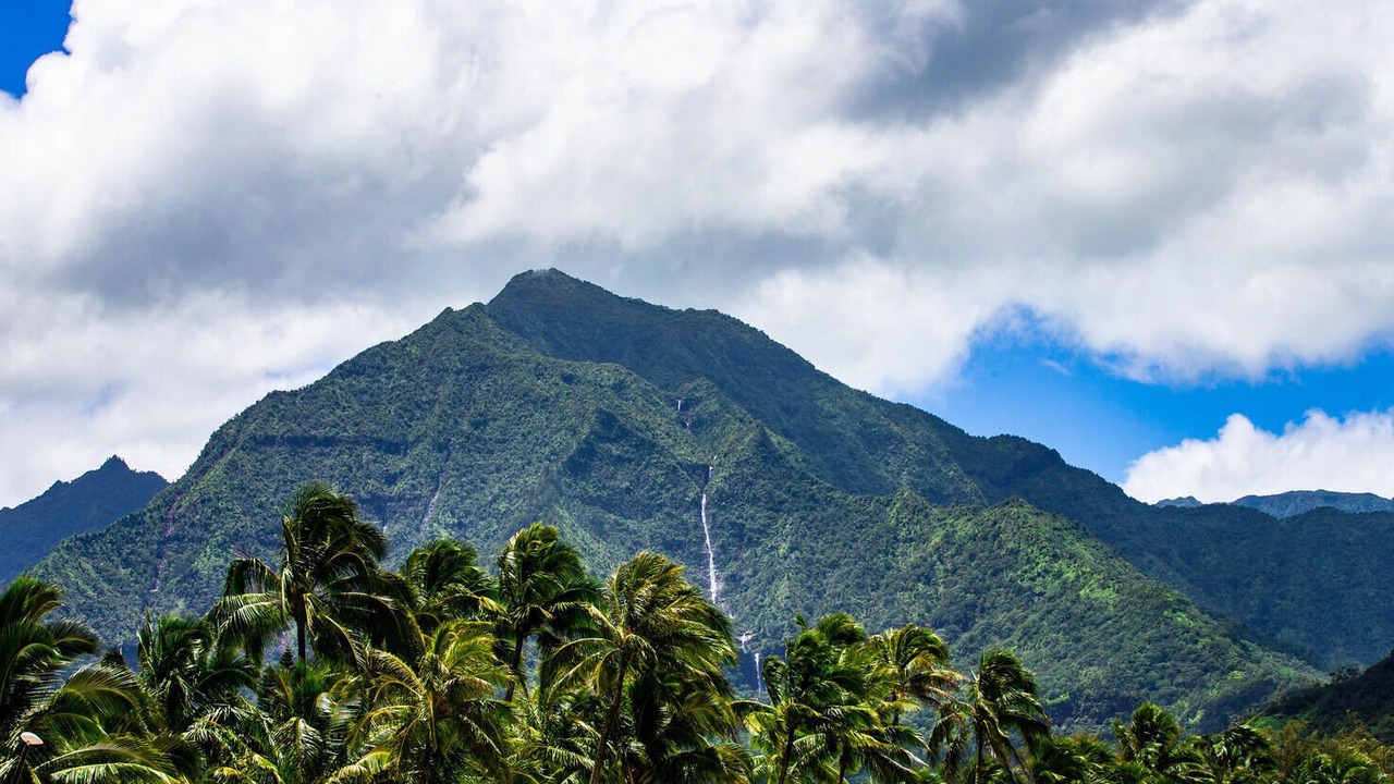 Photo of Others in Hanalei