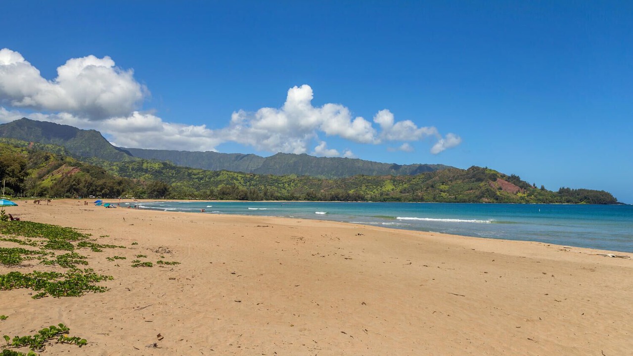 Photo of Others in Hanalei