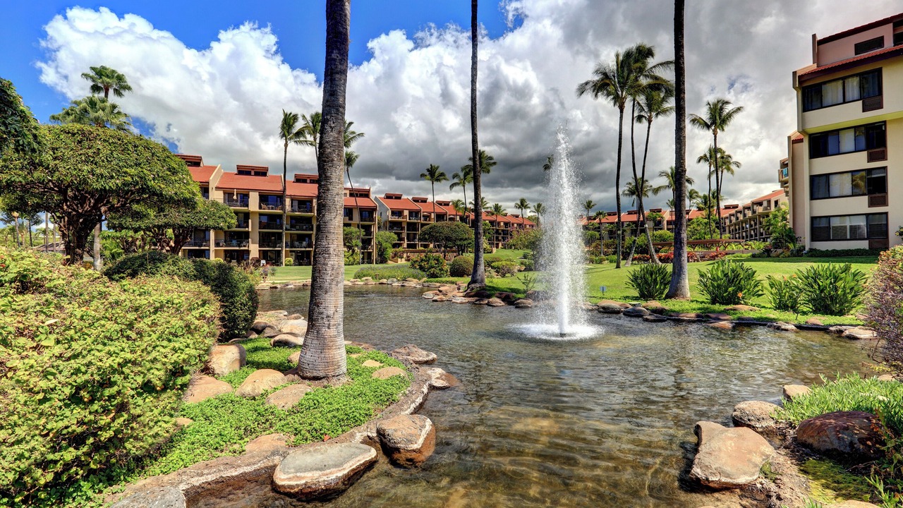 Photo of Others in Kihei