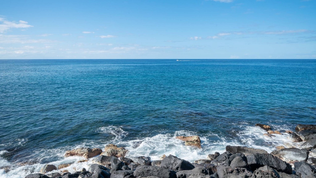Photo of Others in Kahaluu Bay