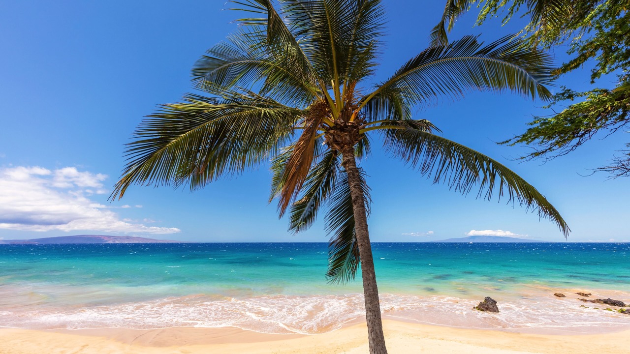 Photo of Others in Kihei