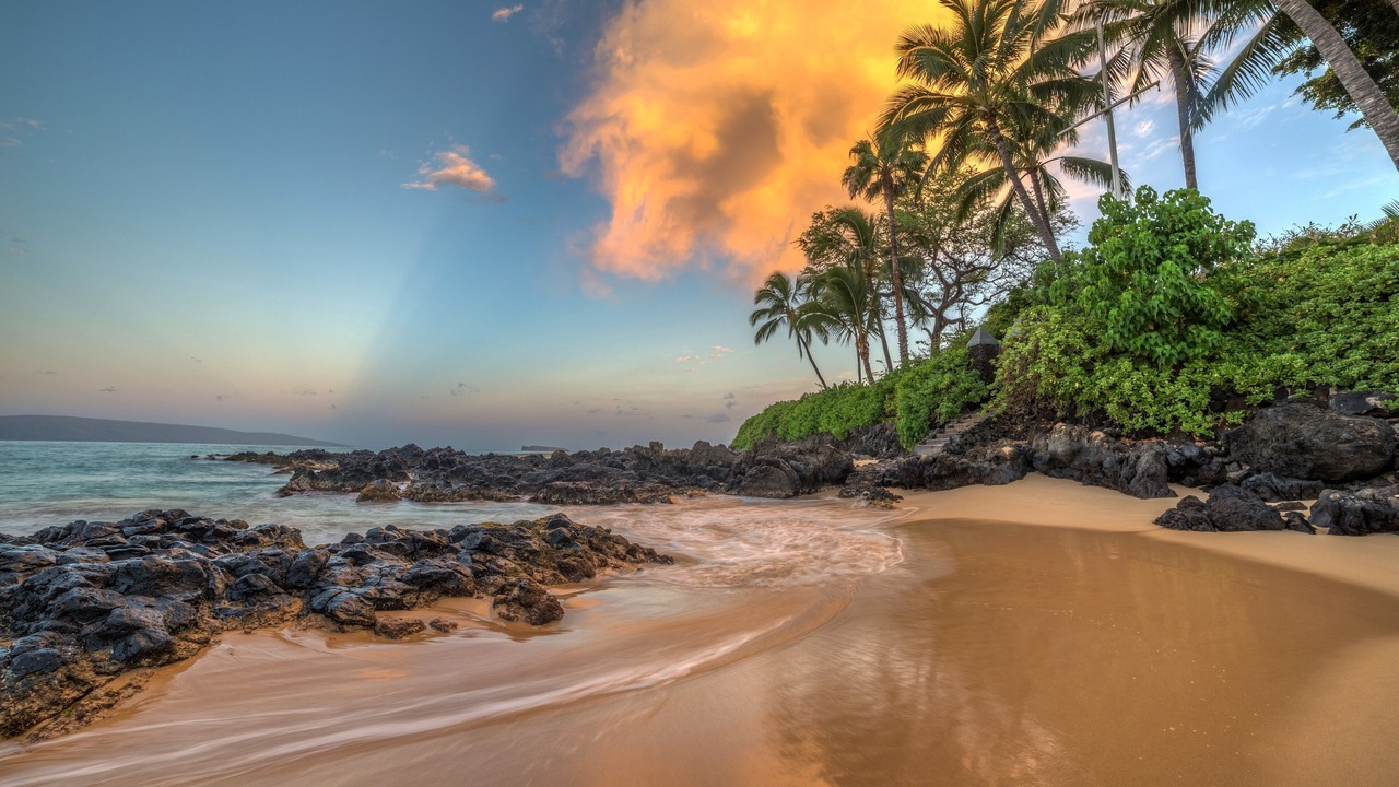 Photo of Others in Kihei