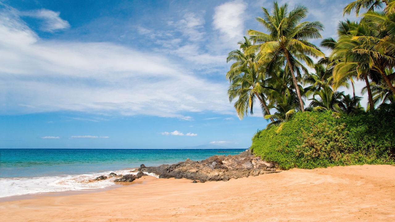 Photo of Others in Kihei