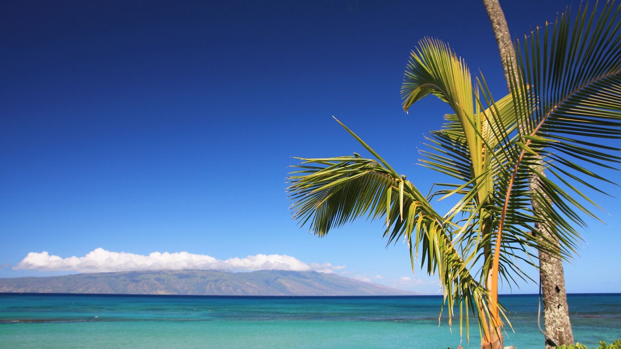Photo of Others in Kihei