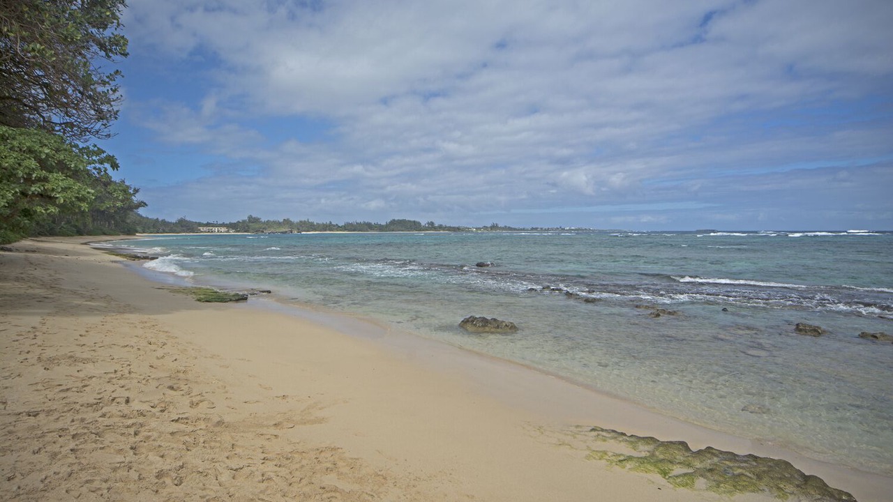 Photo of Others in Hauula