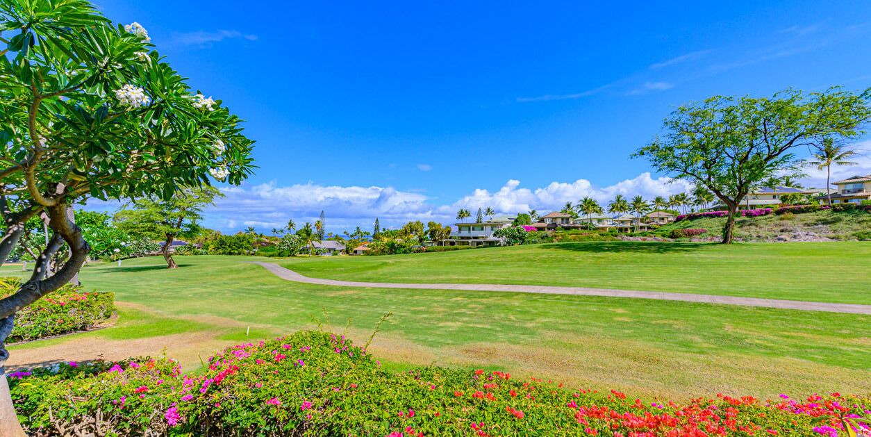 Photo of Outdoor in Wailea