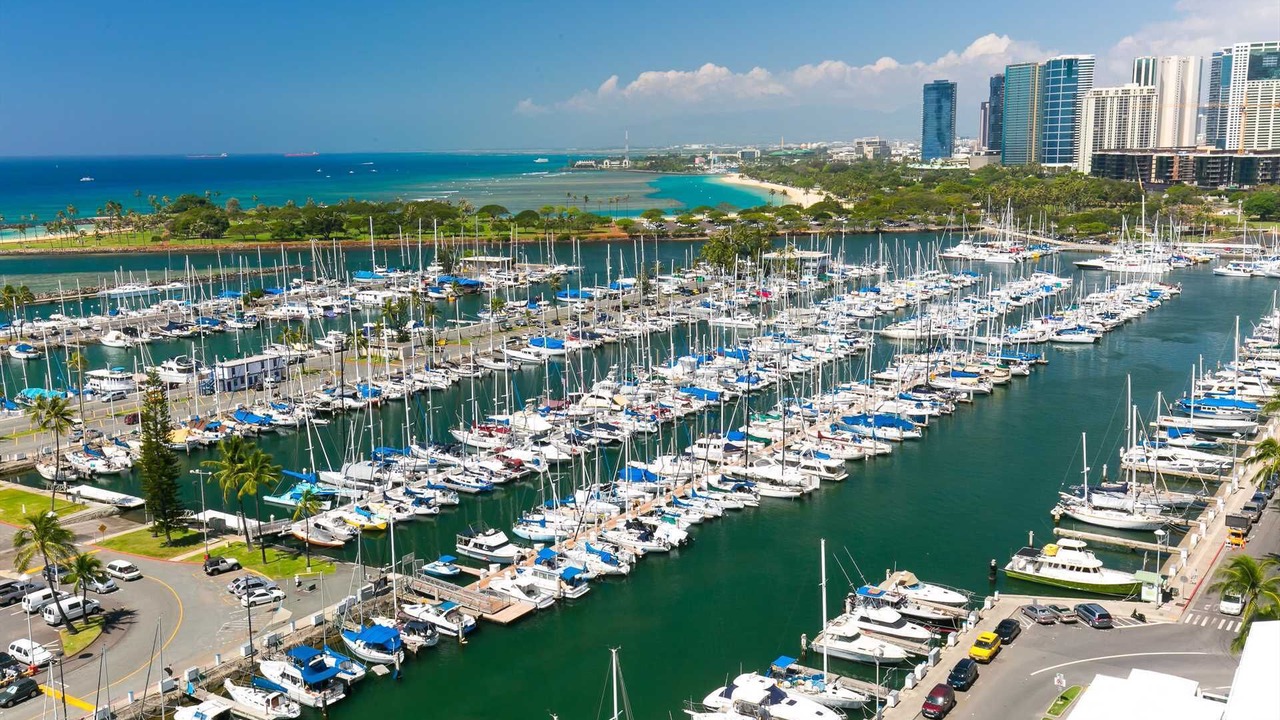 Photo of Others in Waikiki