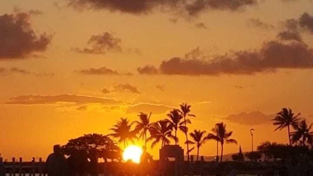 Photo of Others in Waikiki