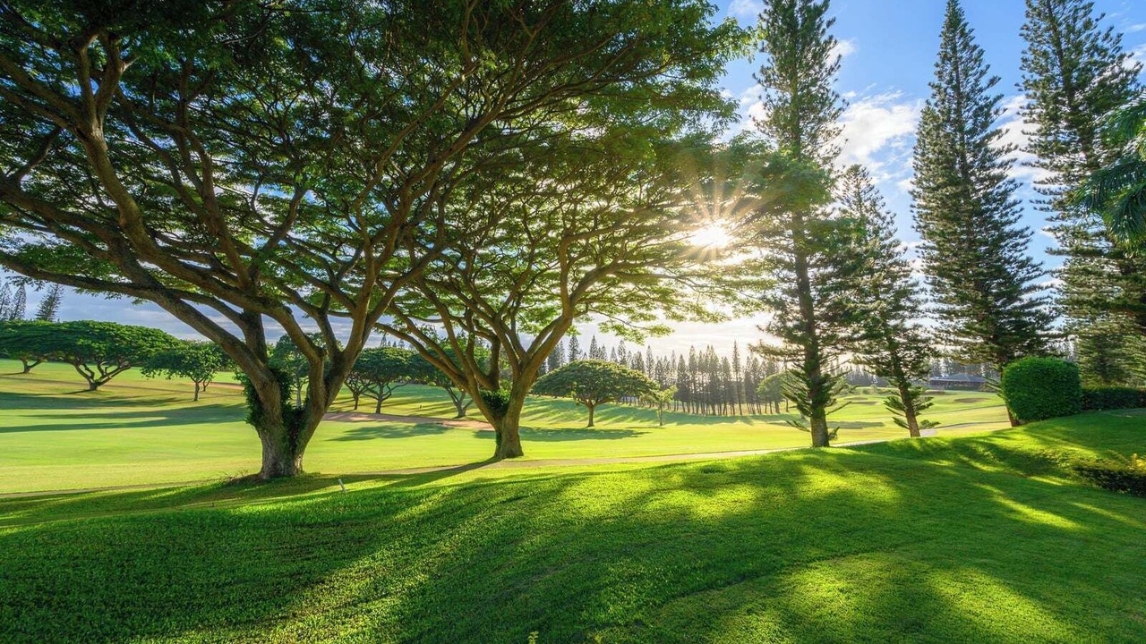 Photo of Others in Kapalua