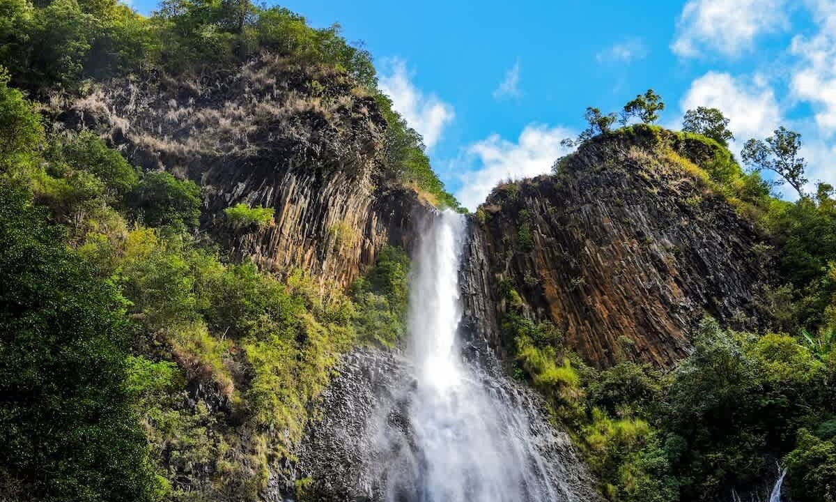 Photo of Others in Wailua