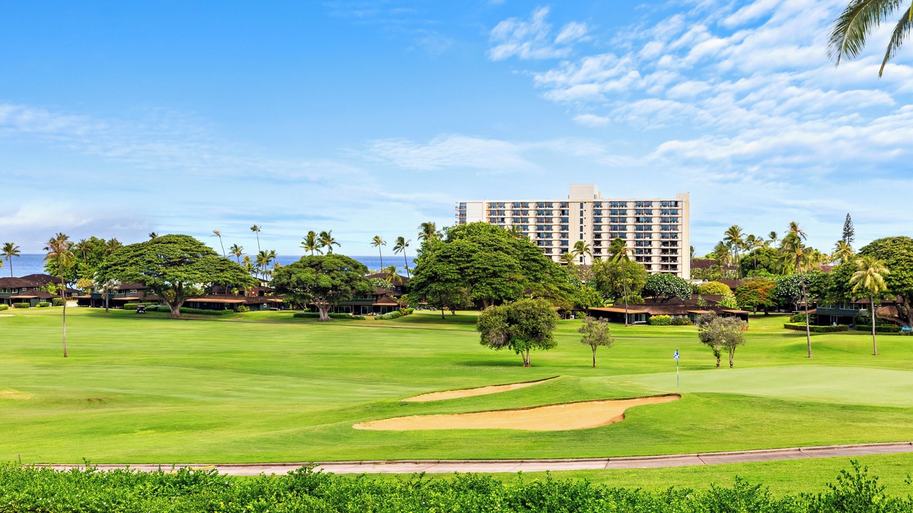 Photo of Others in Kaanapali
