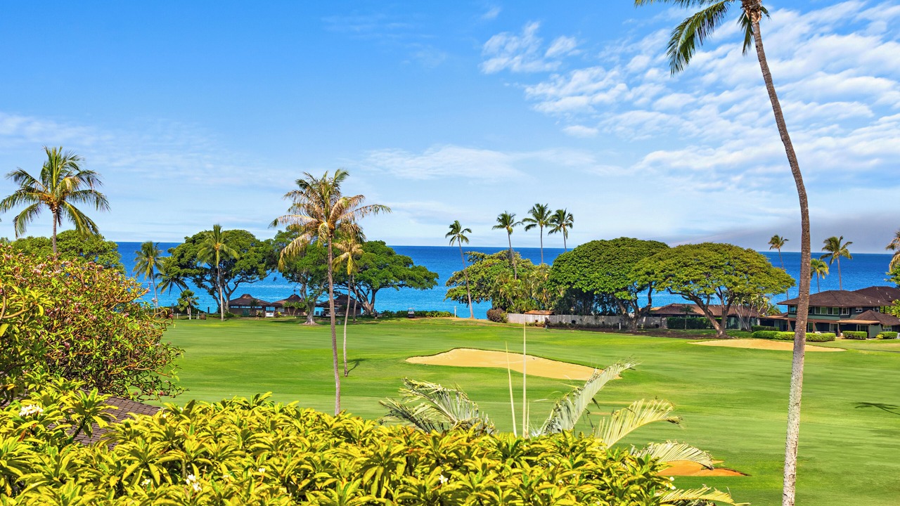 Photo of Others in Kaanapali