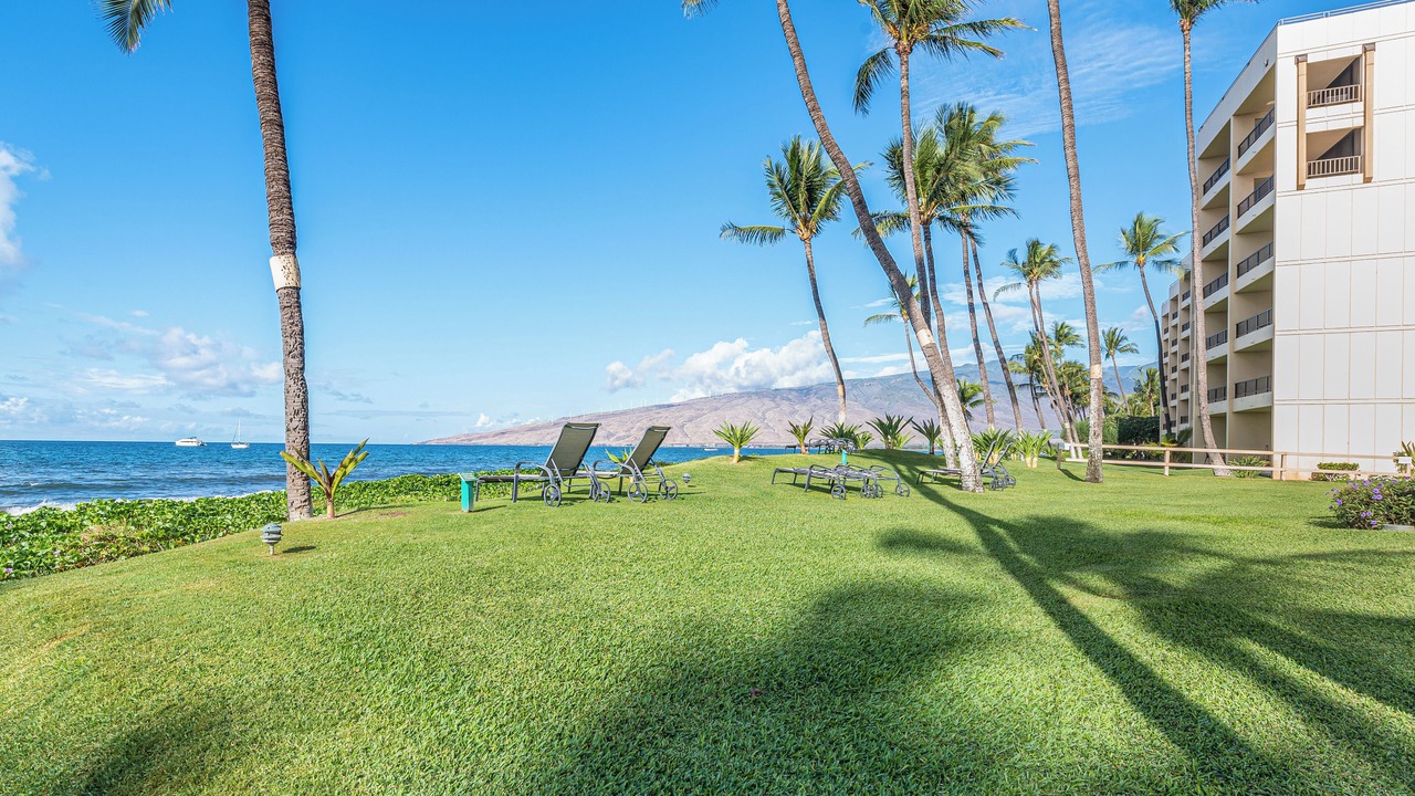 Photo of Outdoor in Kihei