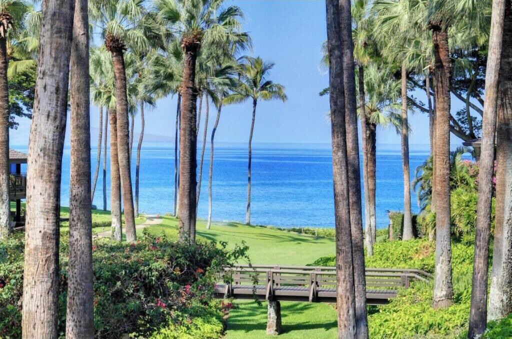 Photo of Outdoor in Wailea