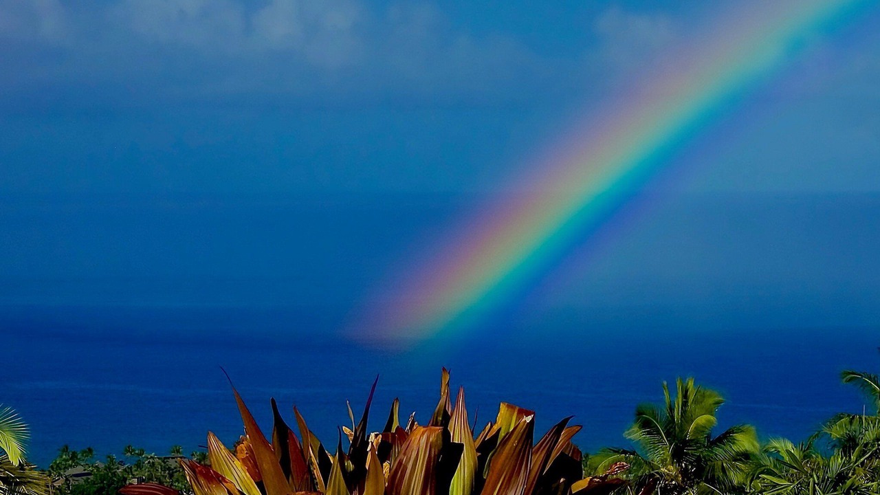 Photo of Others in Kahaluu-Keauhou