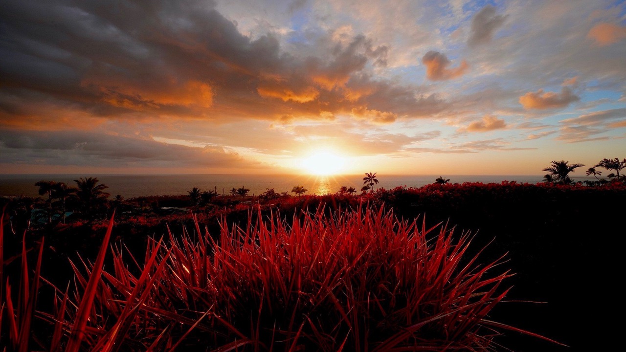 Photo of Others in Kahaluu-Keauhou
