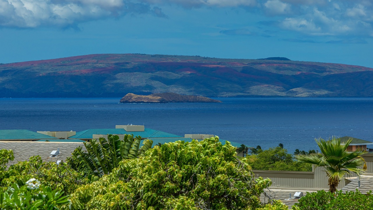 Photo of Others in Wailea