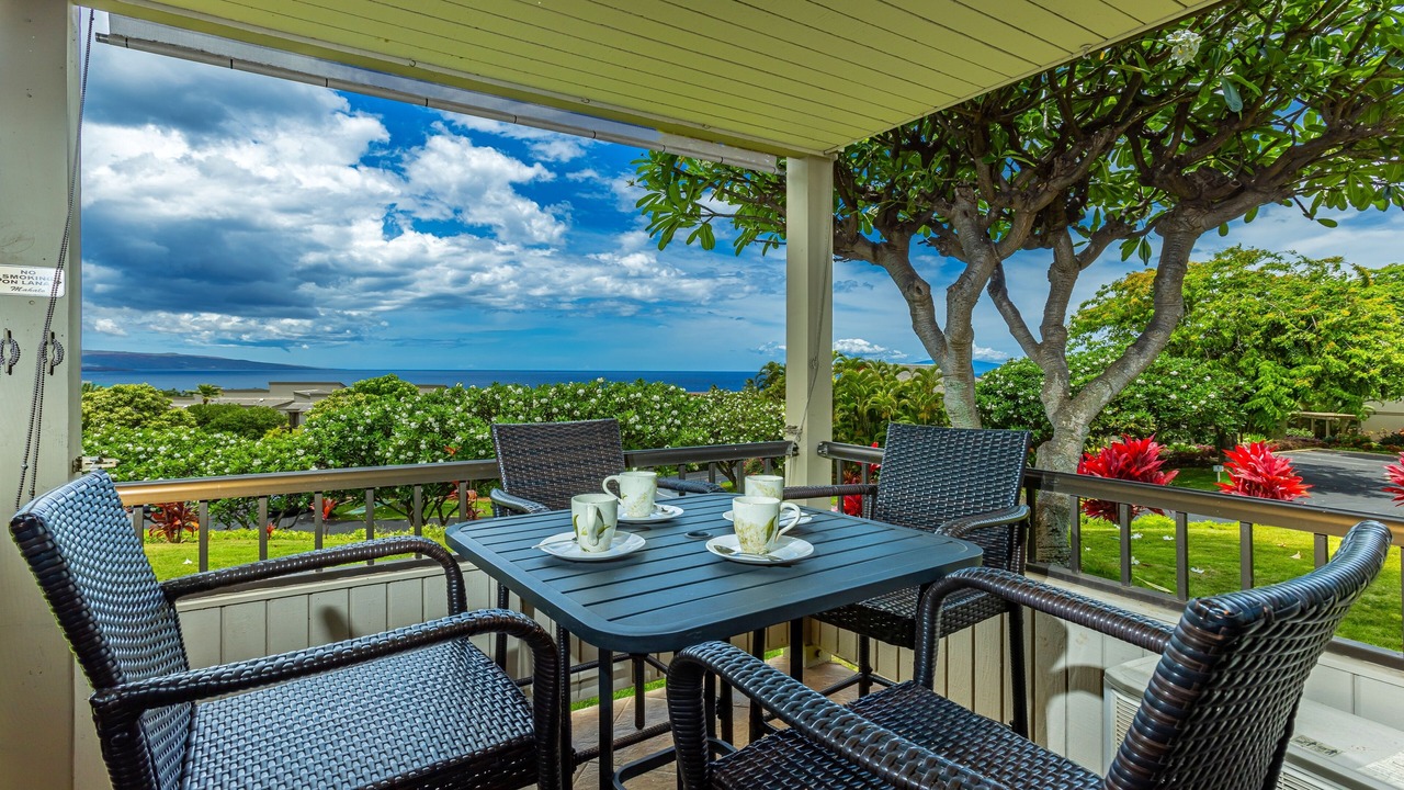 Photo of Outdoor in Wailea