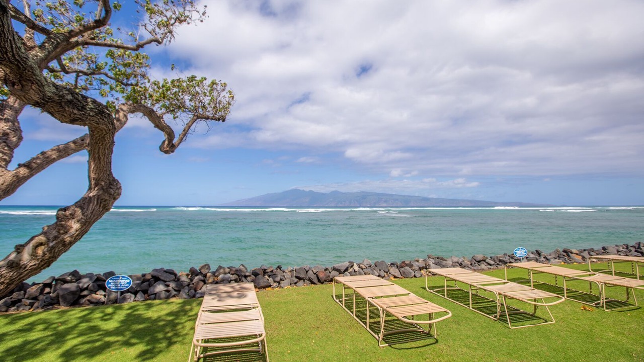 Photo of Others in Kahana
