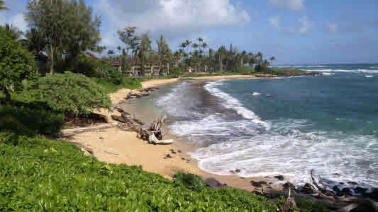 Photo of Others in Wailua