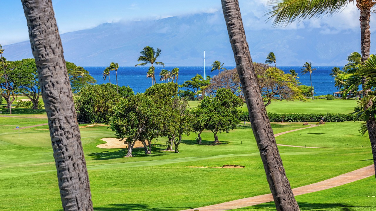Photo of Others in Kaanapali