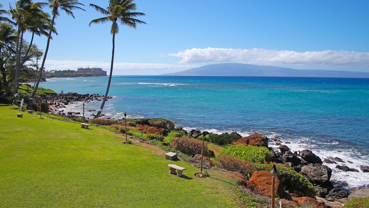 Photo of Others in Honokowai