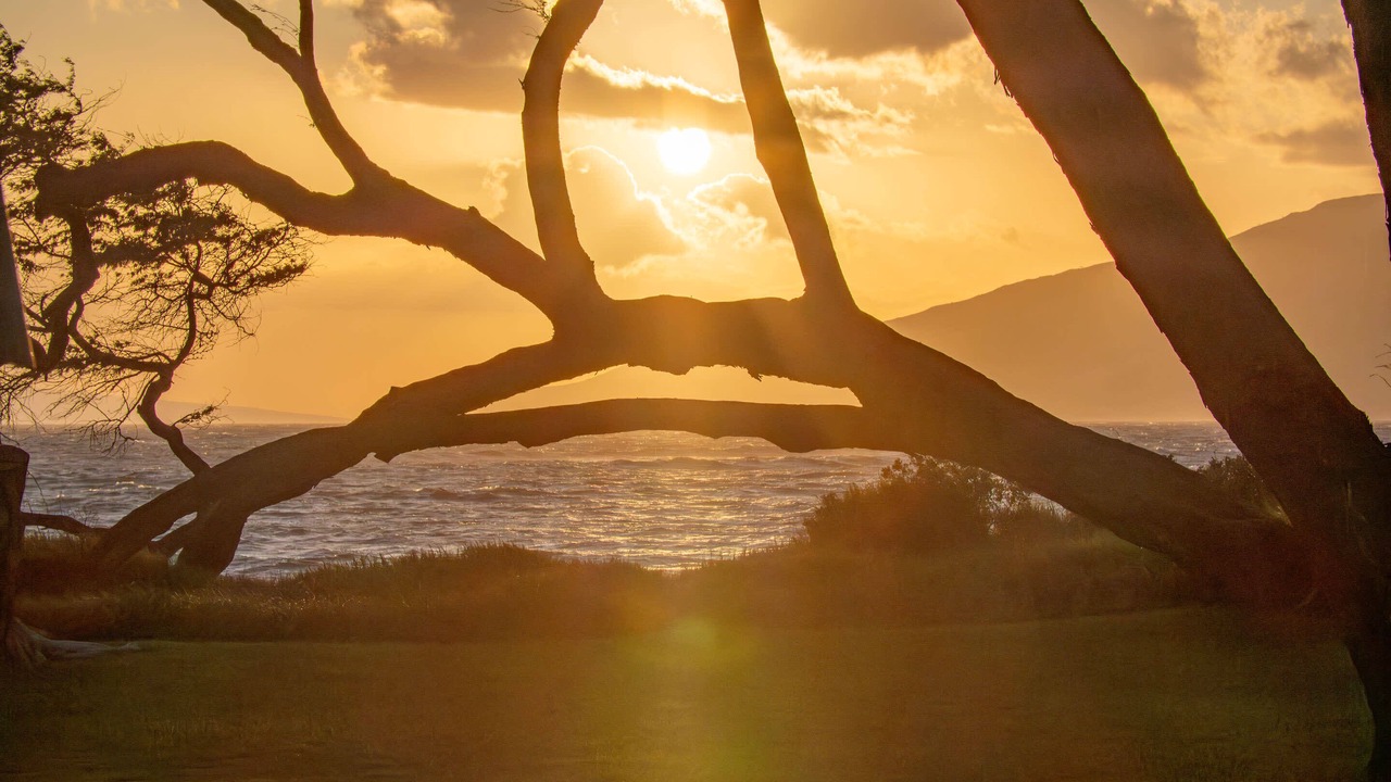 Photo of Others in Kihei