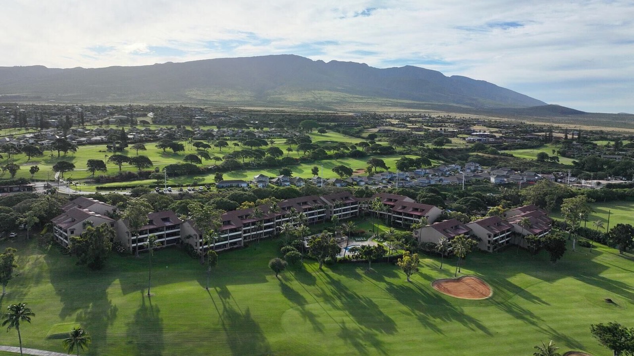 Photo of Others in Kaanapali