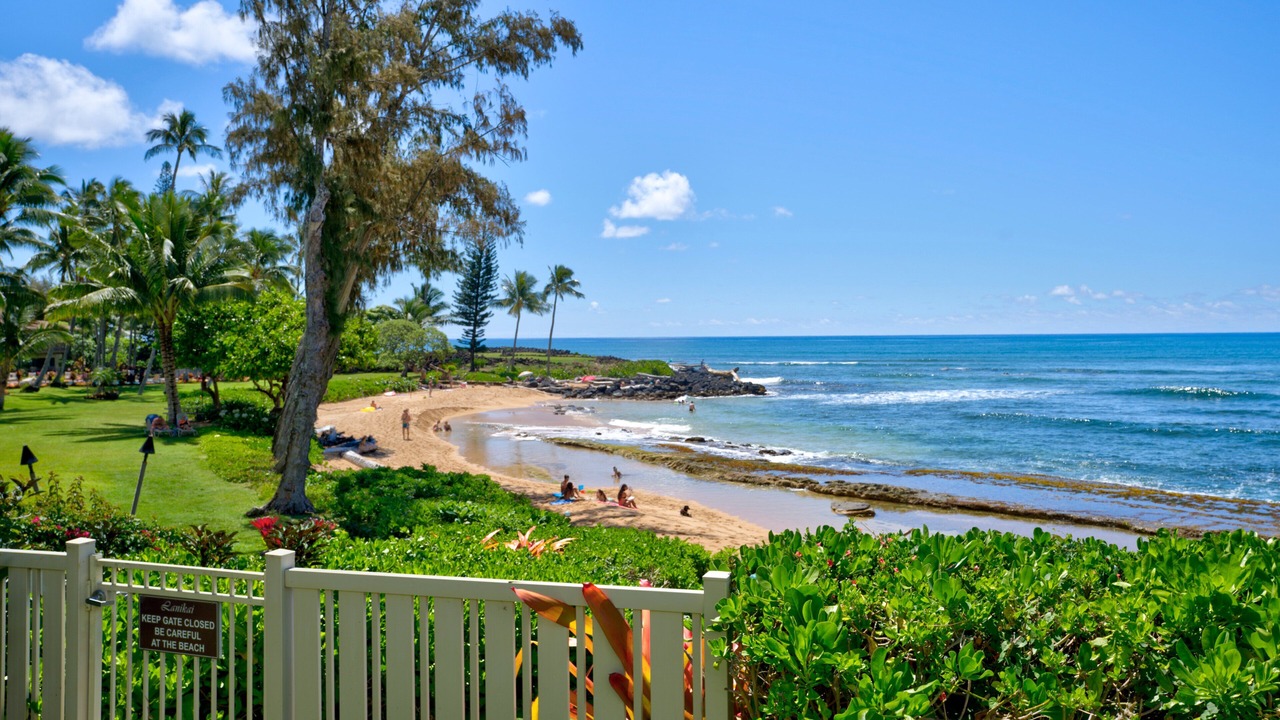 Photo of Others in Wailua