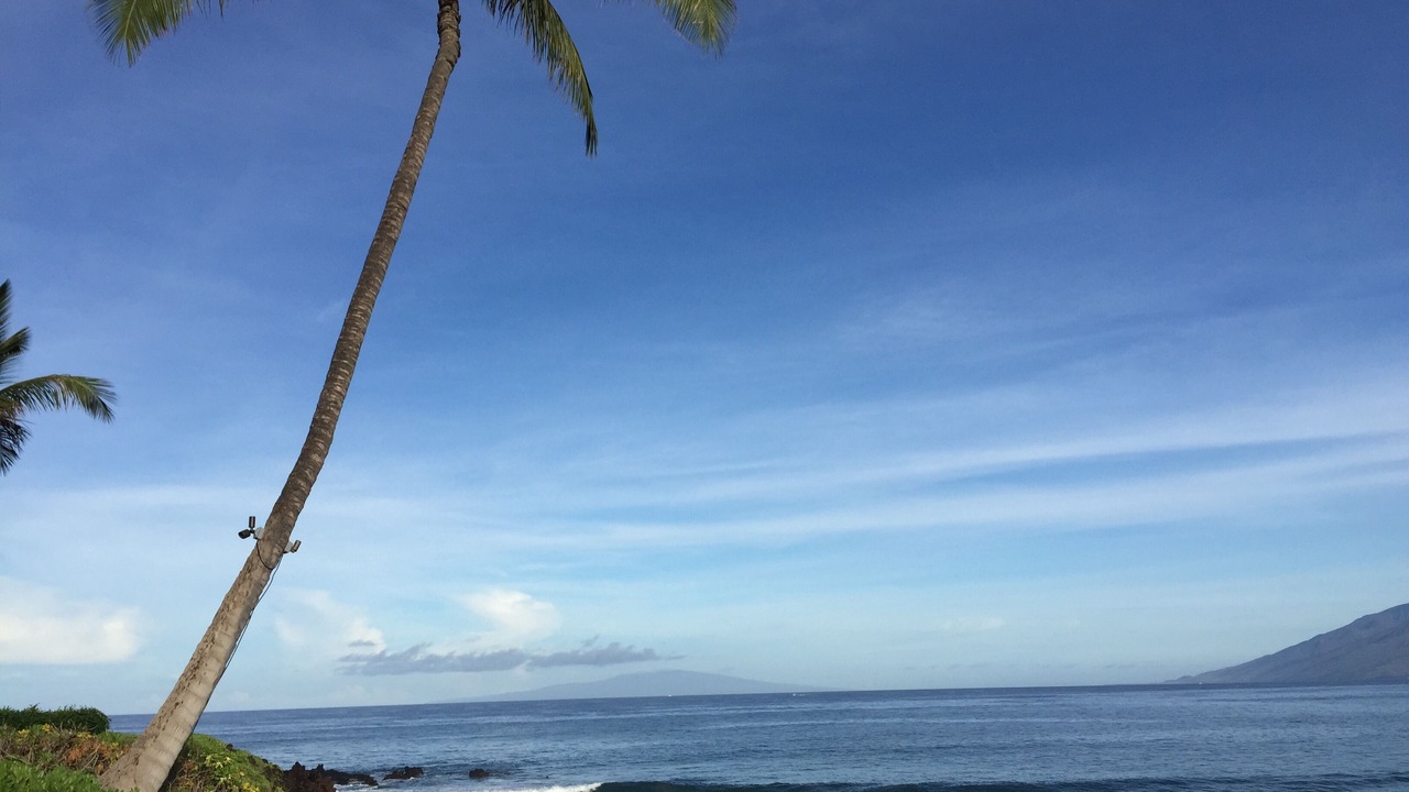 Photo of Others in Wailea