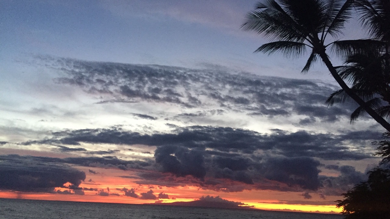 Photo of Others in Wailea