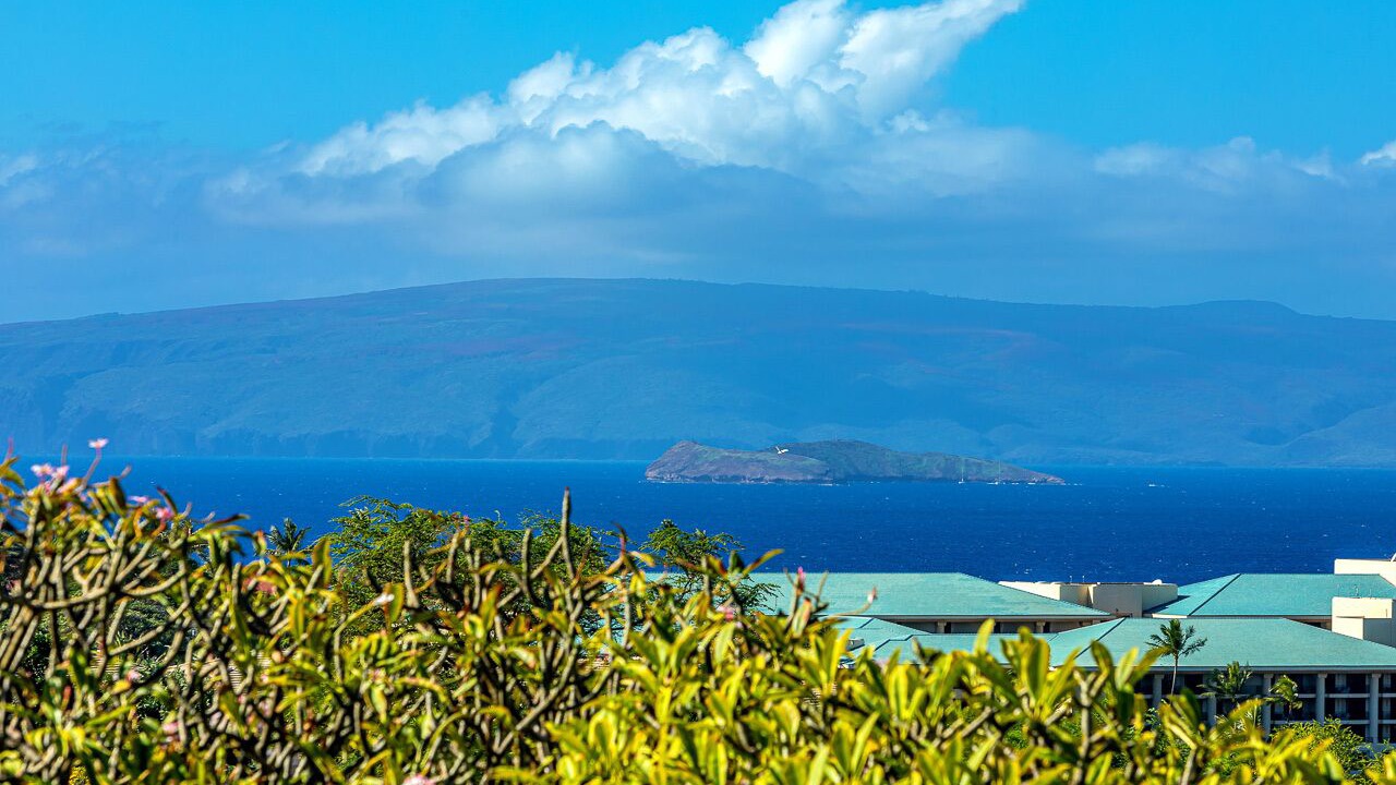 Photo of Others in Wailea