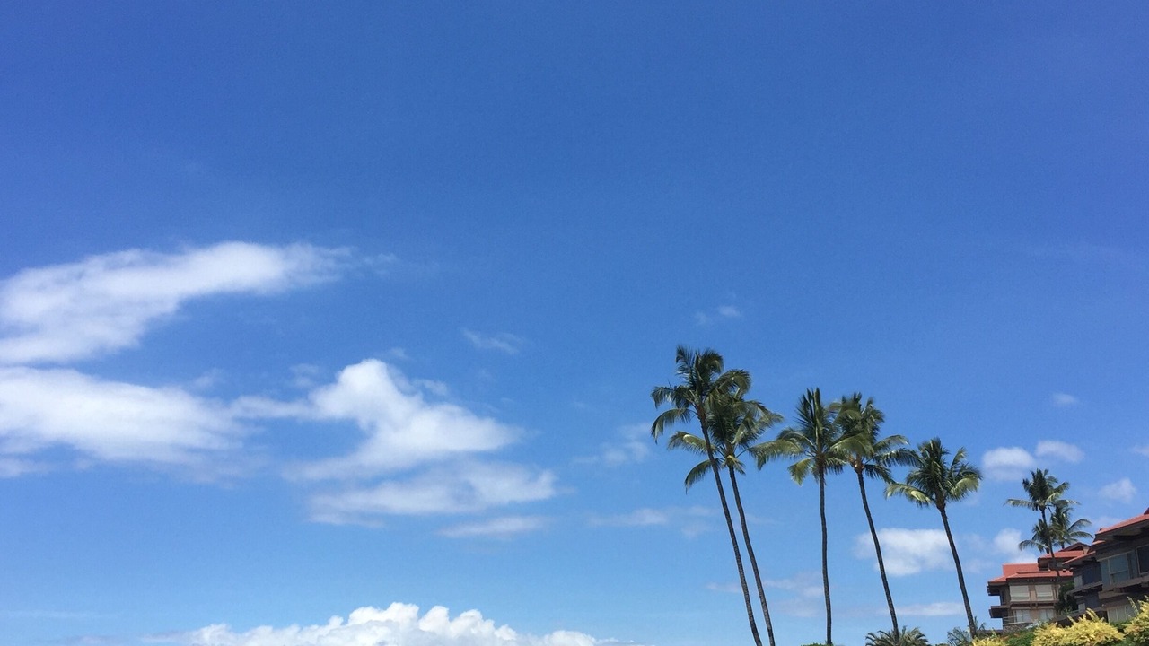 Photo of Others in Wailea