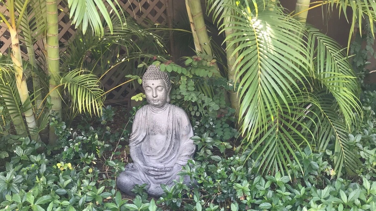 Photo of Outdoor in Kihei