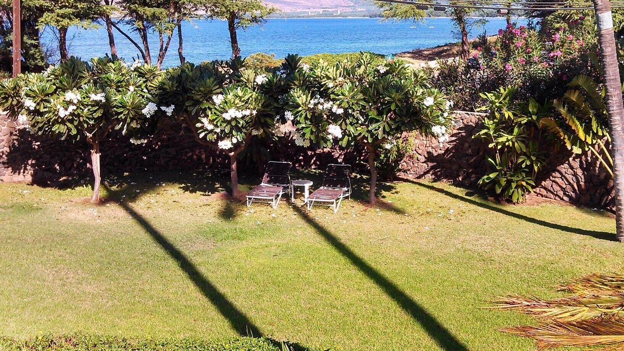 Photo of Others in Kihei