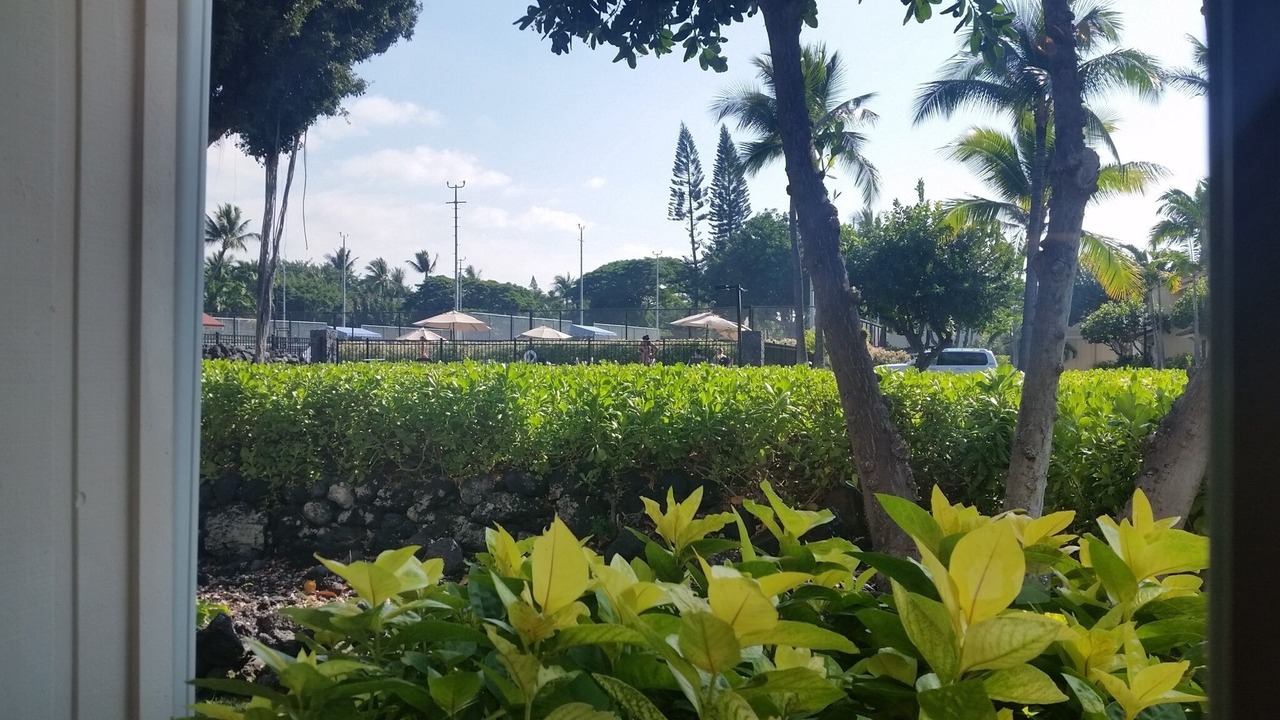 Photo of Outdoor in Kahaluu-Keauhou