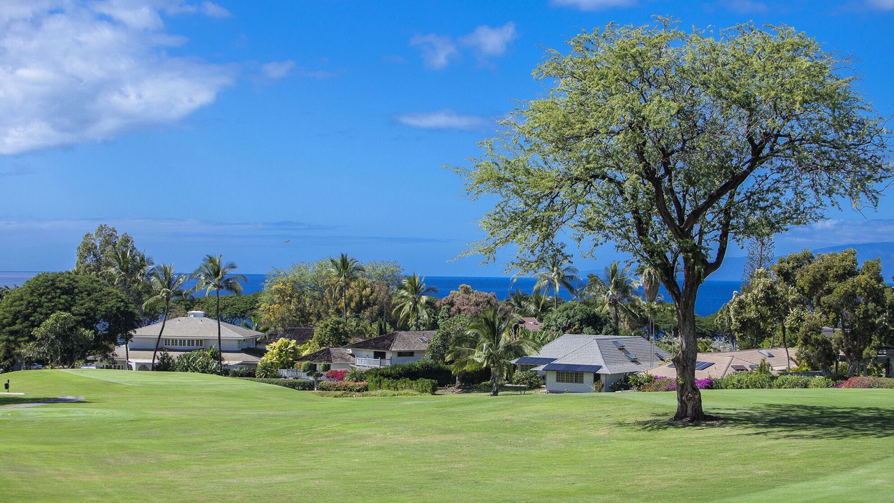 Photo of Others in Wailea