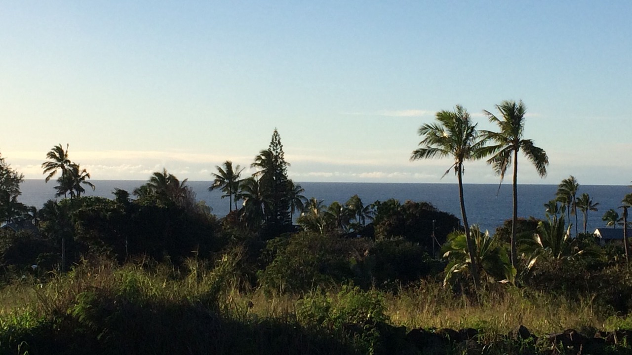 Photo of Others in Pupukea