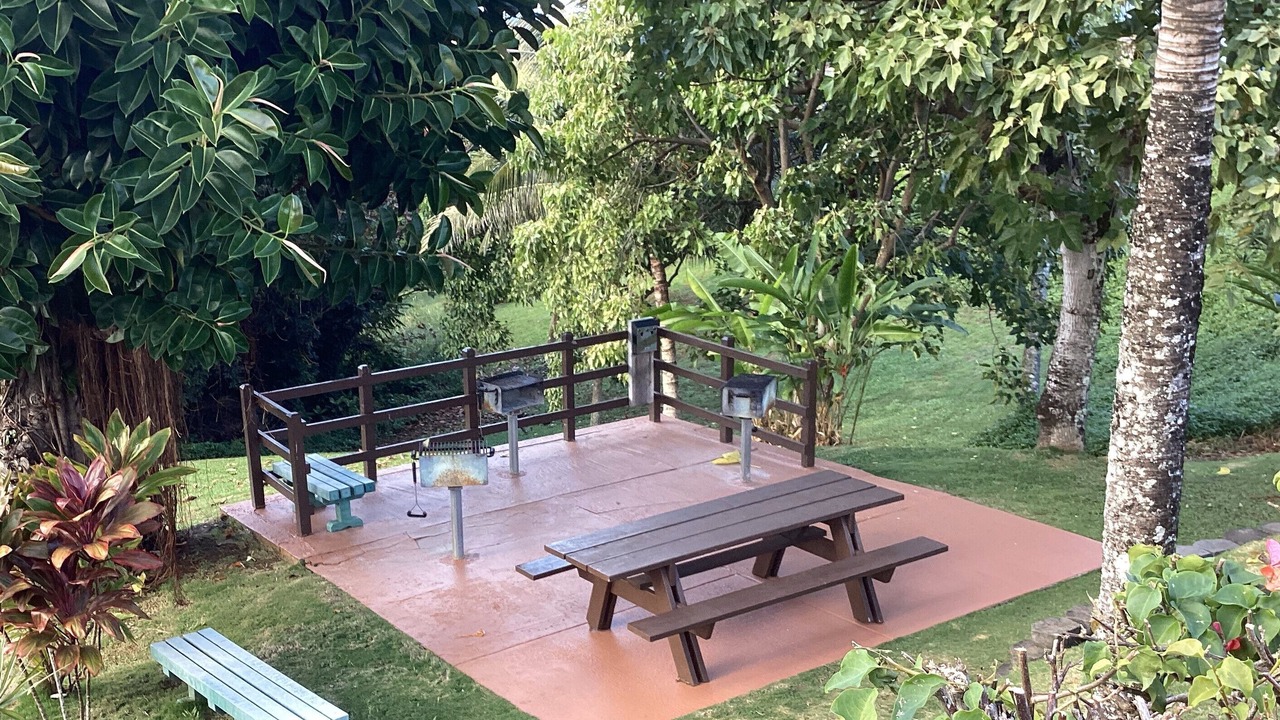 Photo of Others in Princeville