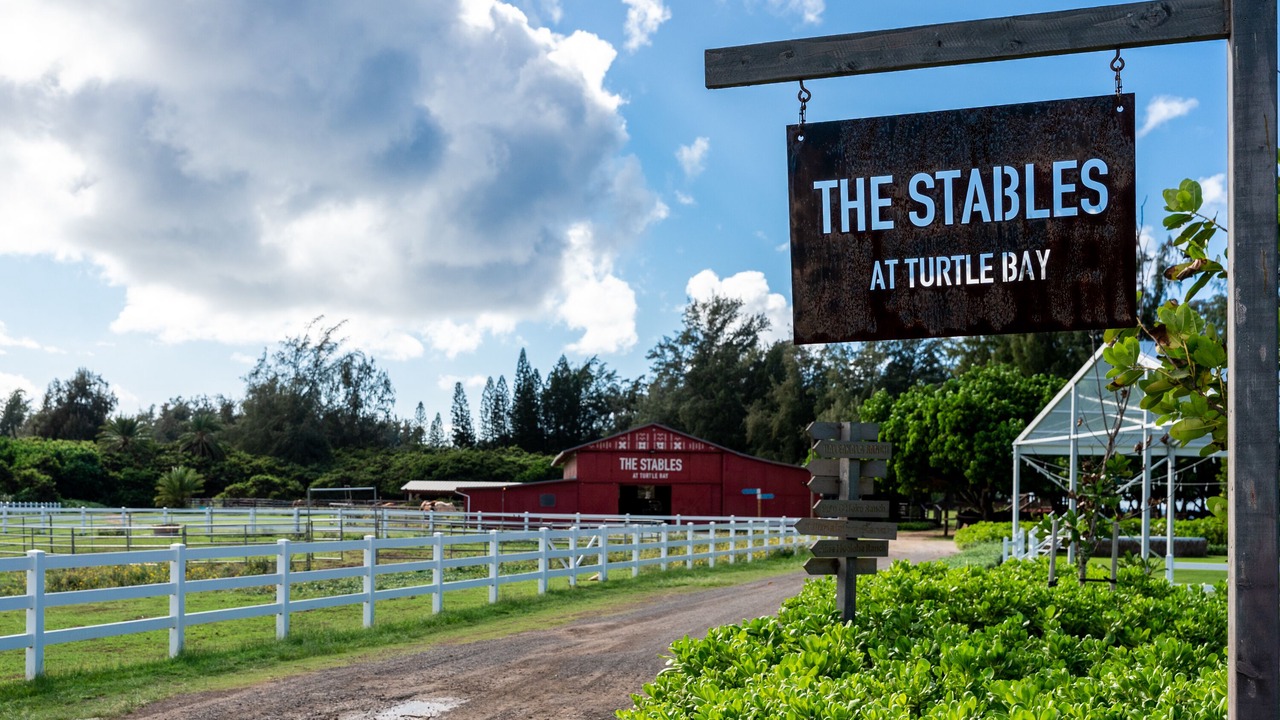 Photo of Outdoor in Kahuku