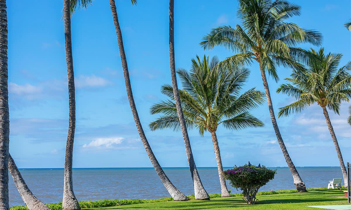 Photo of Outdoor in Kaunakakai