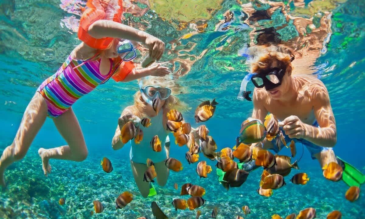 Photo of Others in Poipu