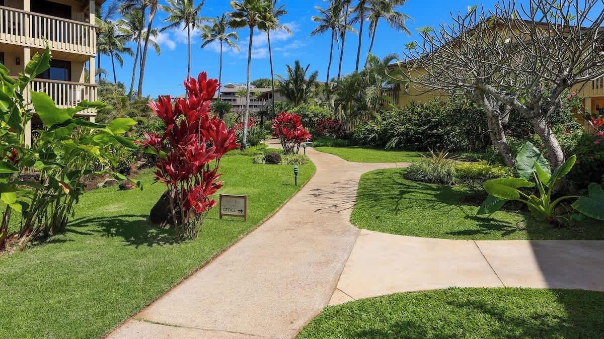 Photo of Others in Poipu