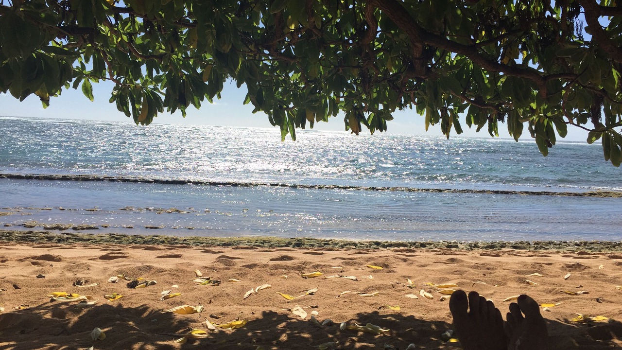 Photo of Others in Wailua