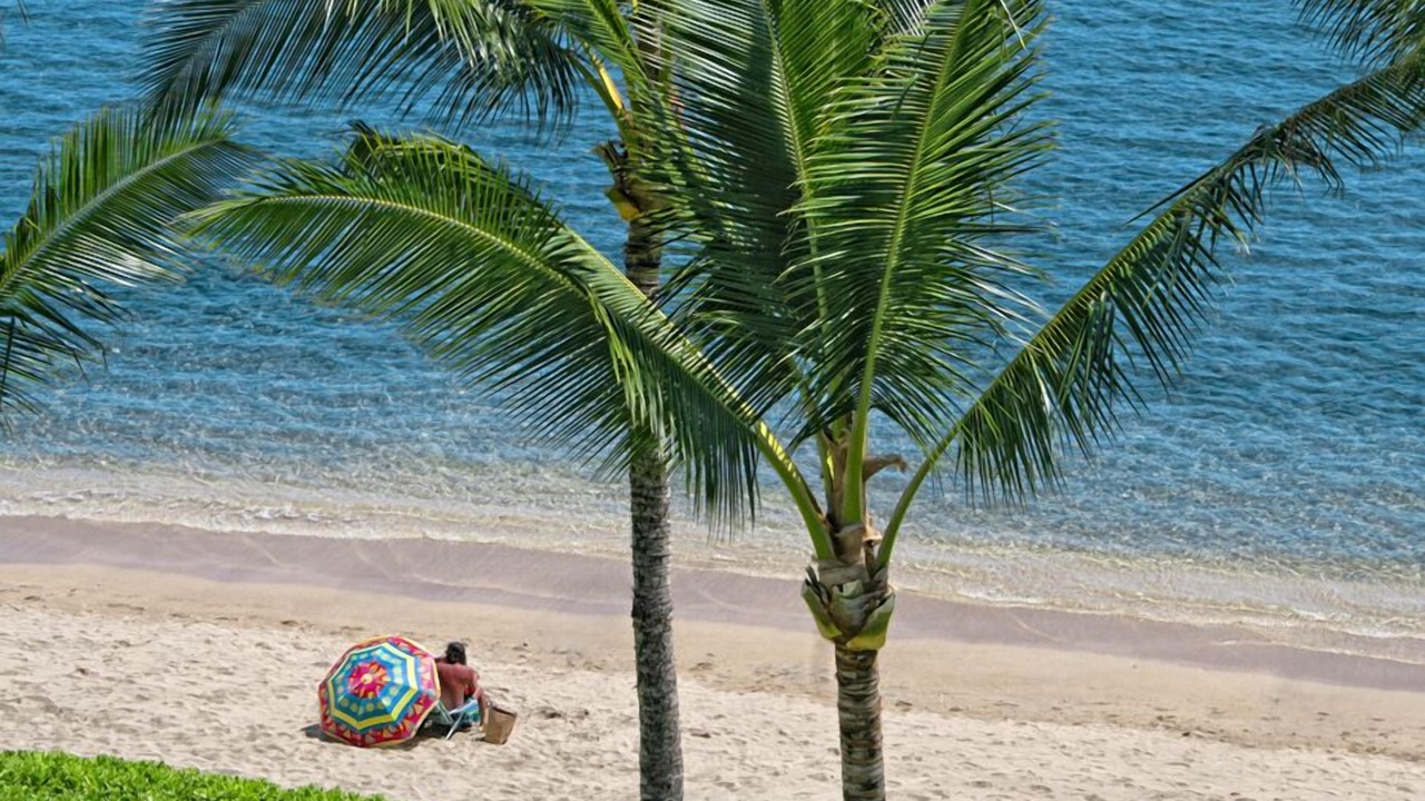 Photo of Others in Historic Lahaina Front Street